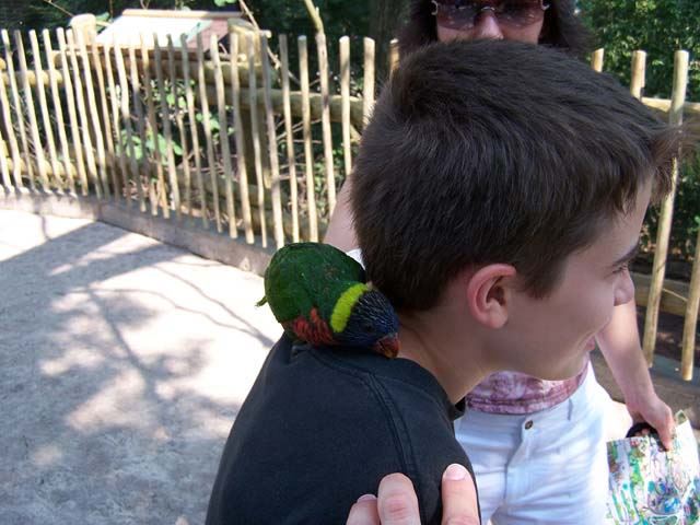 This bird was persistant and just kept nibbling at Michael's collar.