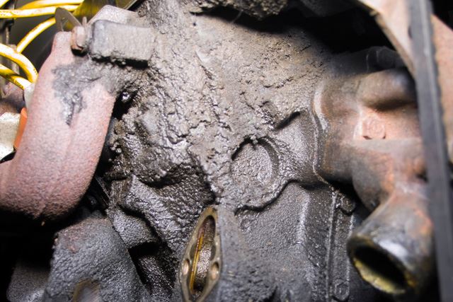 Nasty engine gunk.  Oil leak combined with road dirt and grime.  Just plain nasty gunk!!!