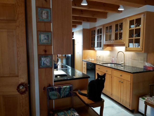 Another angle of Purmione approving the kitchen.