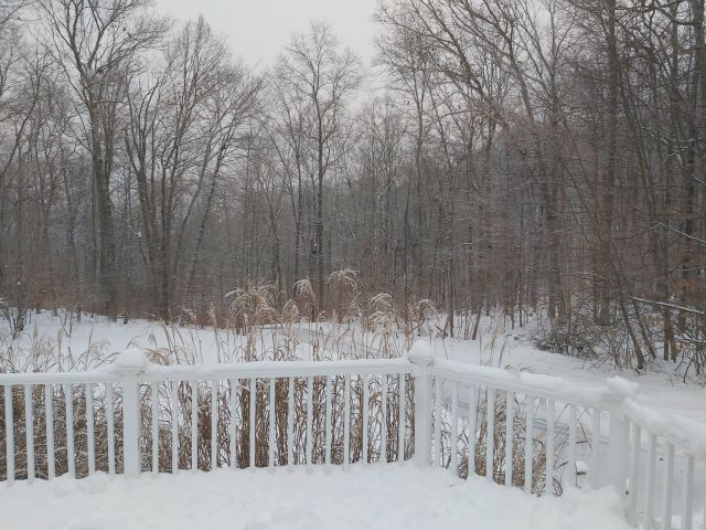 This view is from the sliding doors in the living room.  The wind was causing the snow to cover the driveway again.
