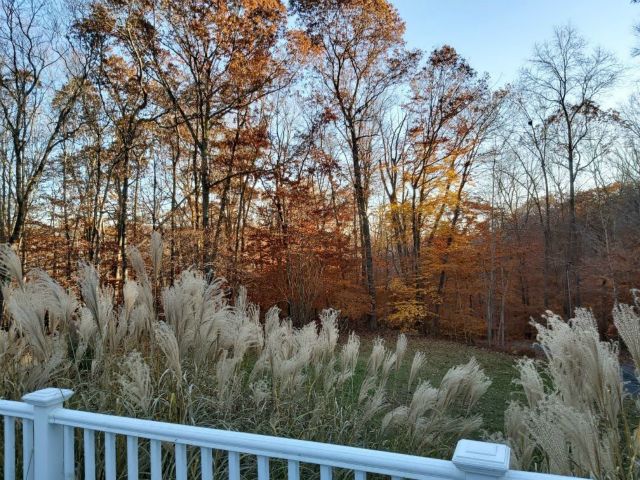 More fall color from the front porch.