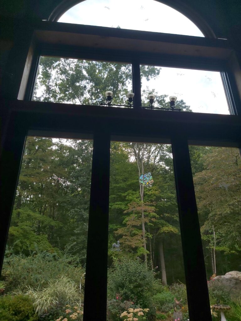 Replacement French Doors and Windows