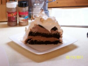Baked Alaska Party